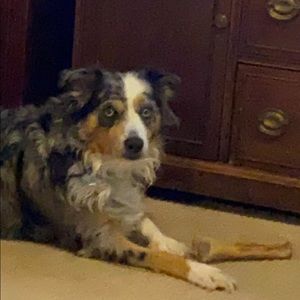 Meet your Posher, Kara